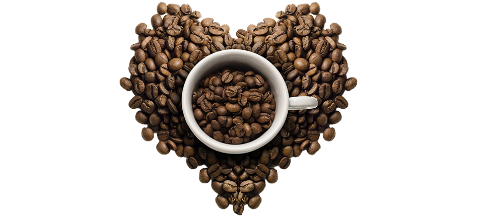 Zenbook A14(UX3407)，ASUS Vivobook S14(S5406)